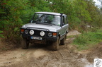 IMGP2585
