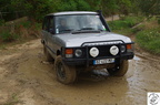 IMGP2586