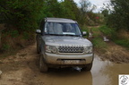 IMGP2594