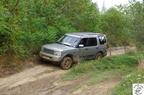 IMGP2595